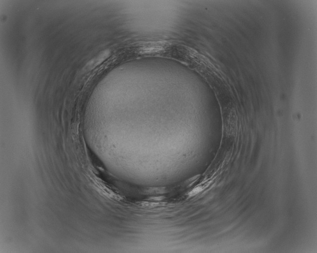 X0000068901441200605081333
