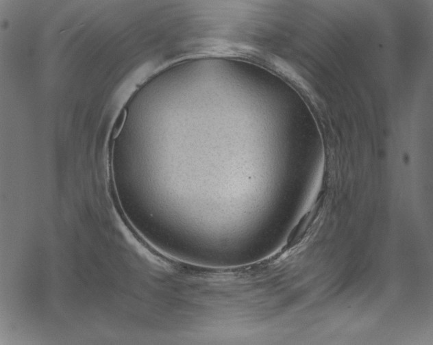 X0000068901479200605081332