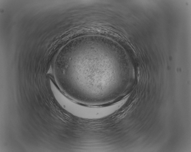 X0000068901490200605081332