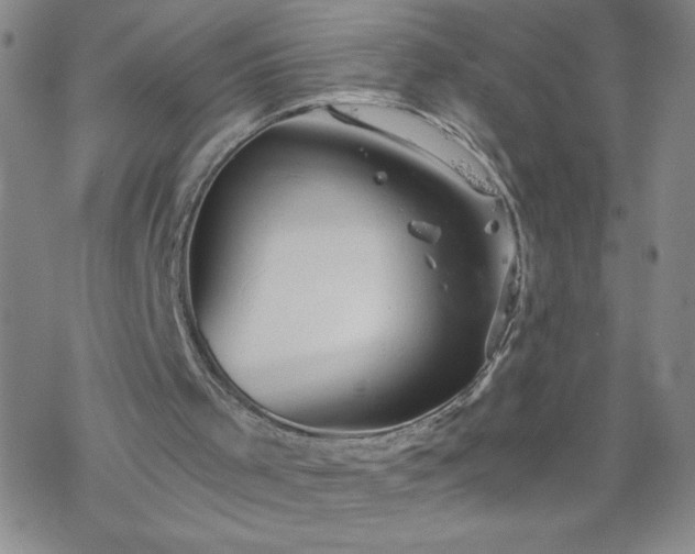 X0000068900001200605122112