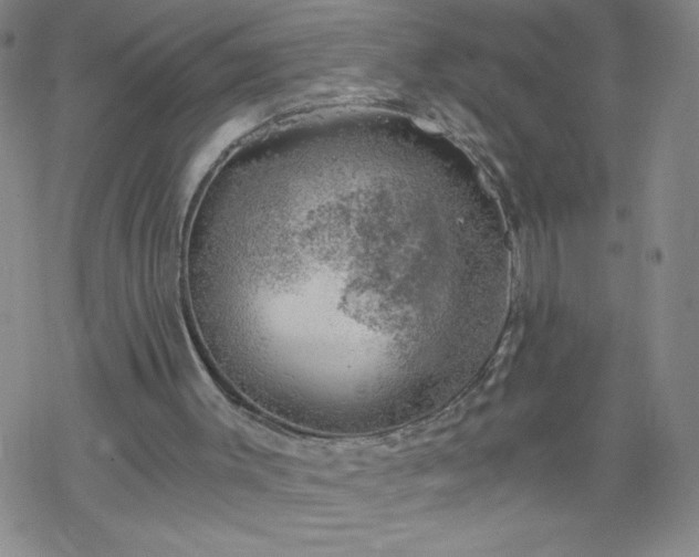 X0000068900003200605122112