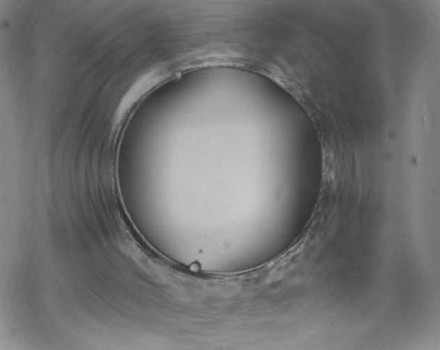 X0000068900004200605122112