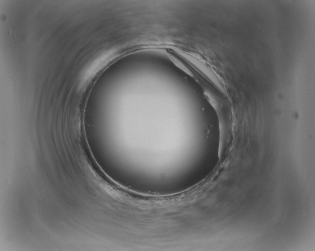 X0000068900005200605122112