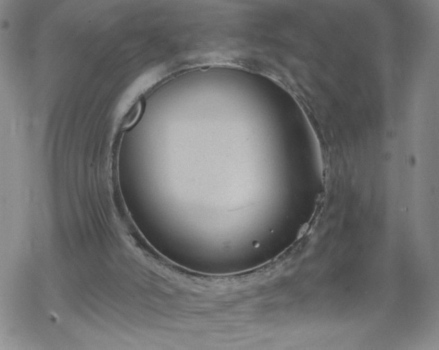 X0000068900006200605122112