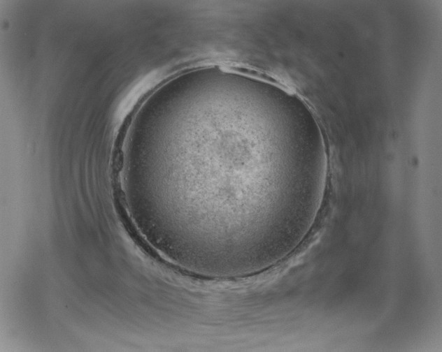 X0000068900007200605122111