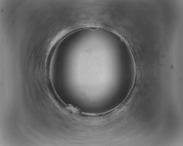 X0000068900008200605122111