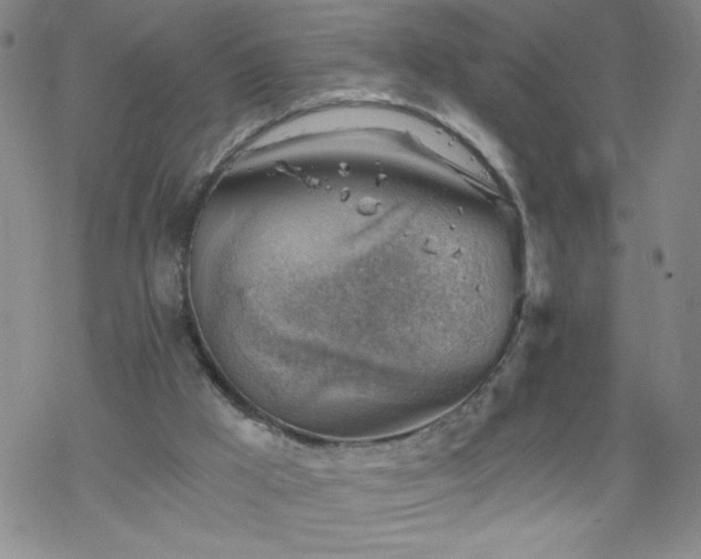 X0000068900009200605122111