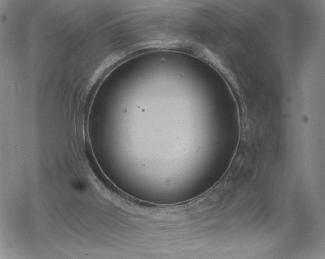 X0000068900011200605122111