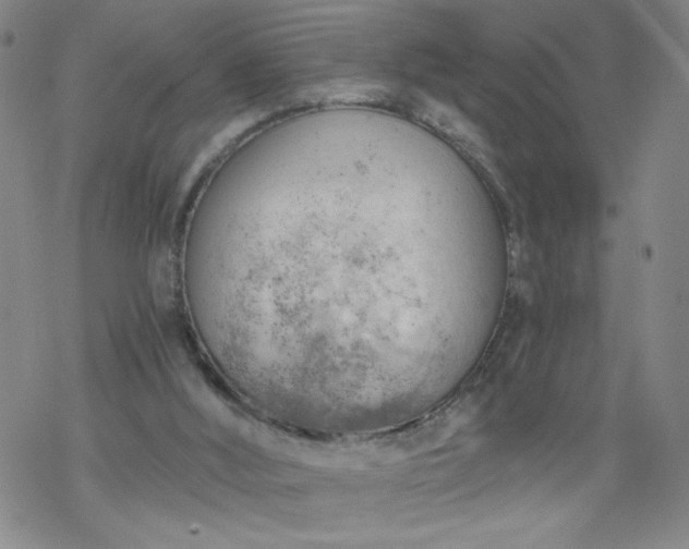 X0000068900012200605122111