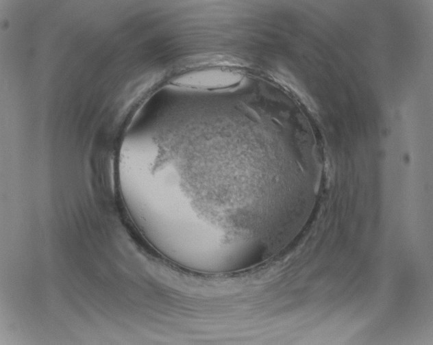 X0000068900014200605122111