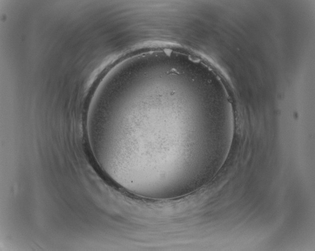 X0000068900015200605122111