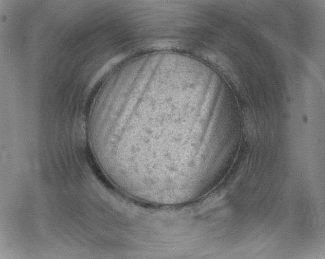 X0000068900016200605122111