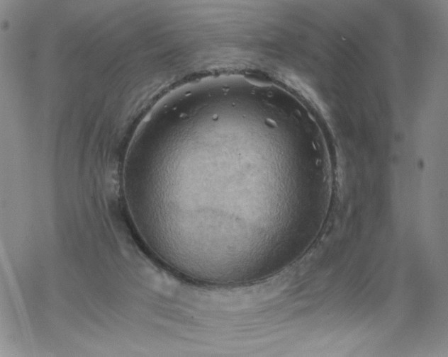 X0000068900017200605122111