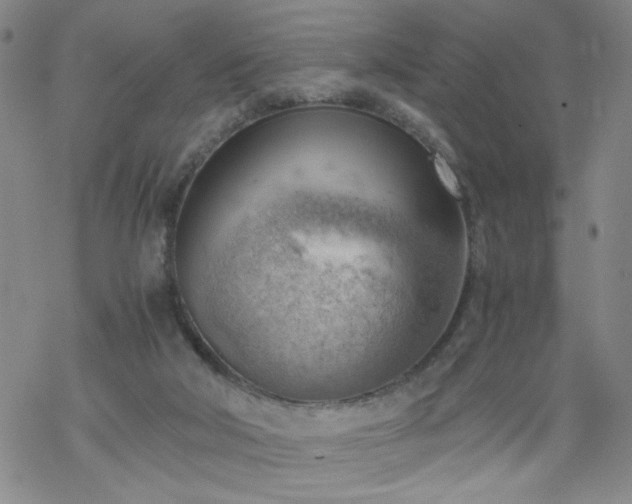 X0000068900018200605122111