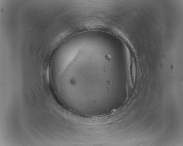 X0000068900019200605122111