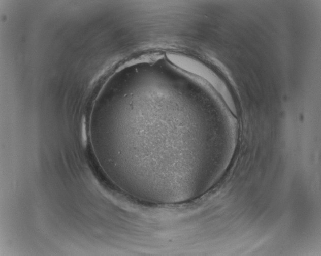 X0000068900020200605122111