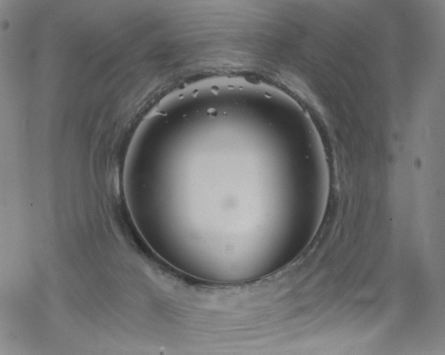 X0000068900021200605122111