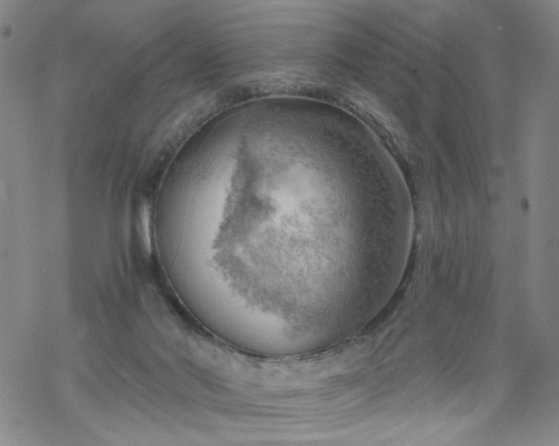 X0000068900022200605122111