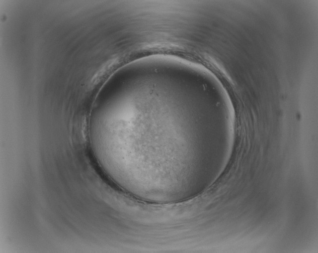 X0000068900023200605122111