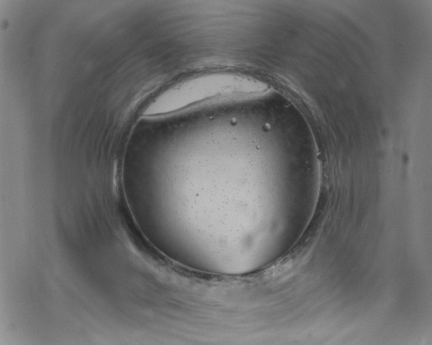 X0000068900024200605122111