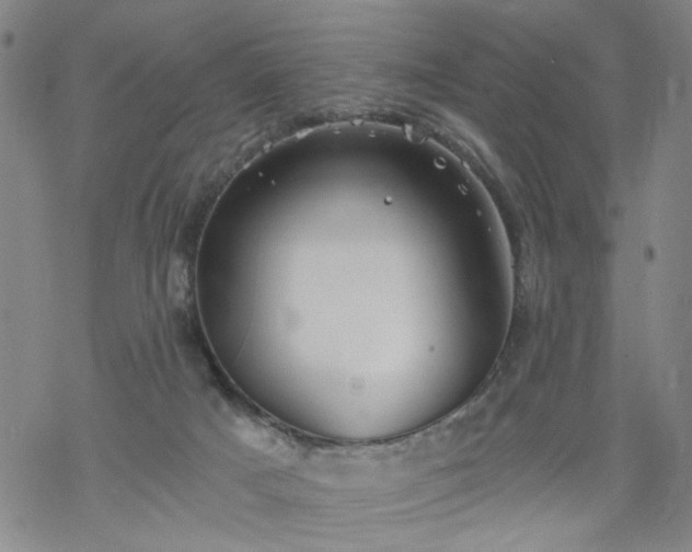 X0000068900025200605122111