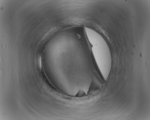 X0000068900027200605122111