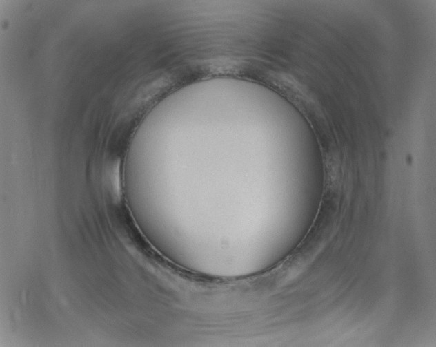 X0000068900028200605122111