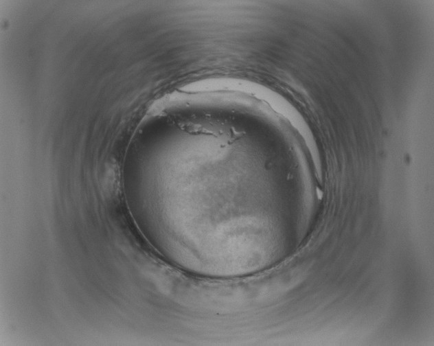 X0000068900029200605122111