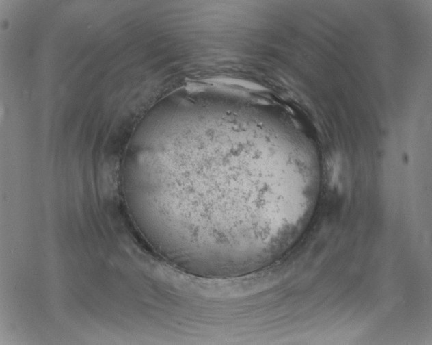 X0000068900030200605122111