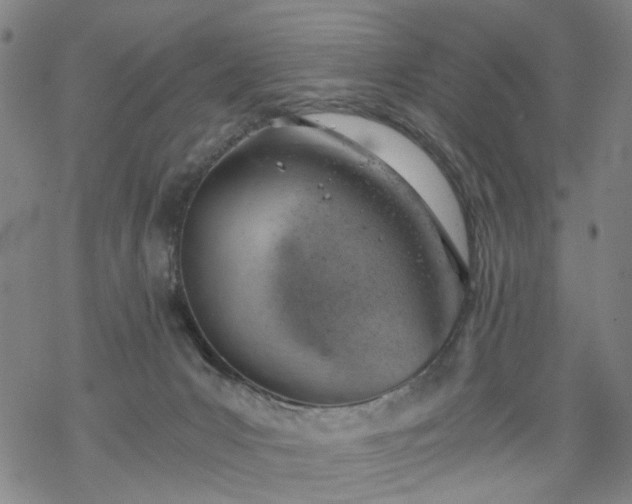 X0000068900031200605122111