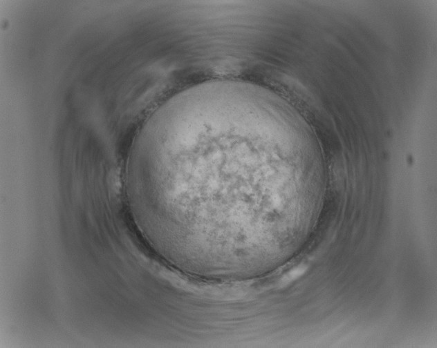 X0000068900032200605122111