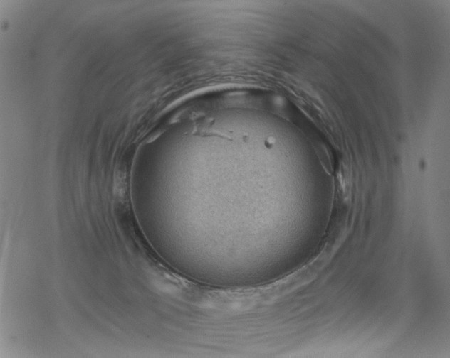 X0000068900033200605122111