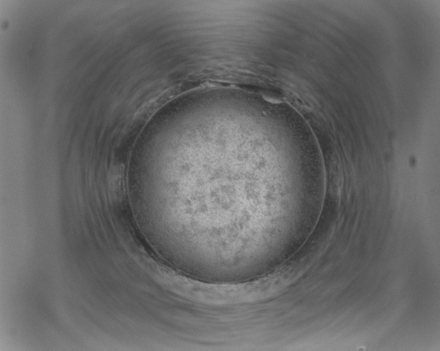 X0000068900034200605122111