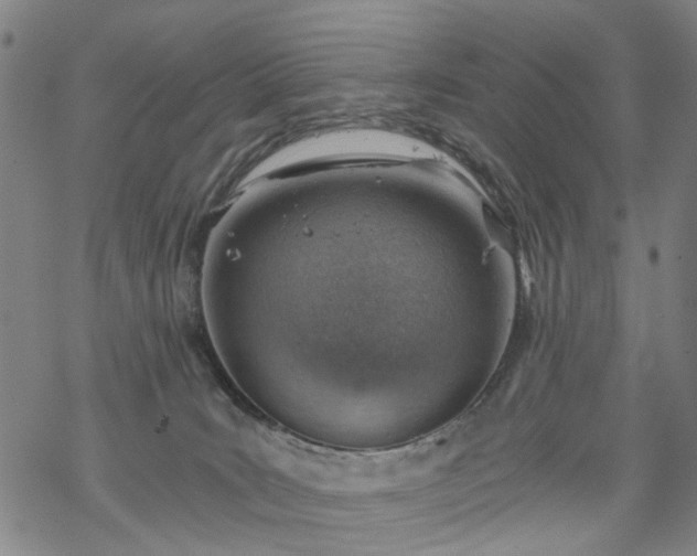 X0000068900035200605122111