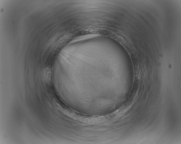 X0000068900036200605122111