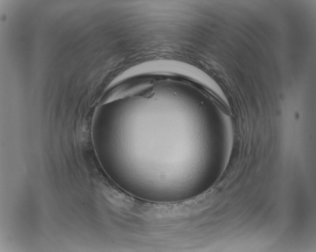 X0000068900037200605122111