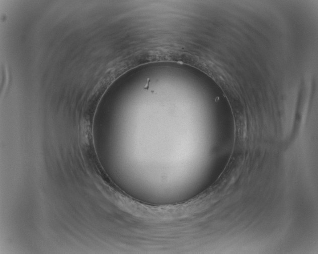 X0000068900038200605122111