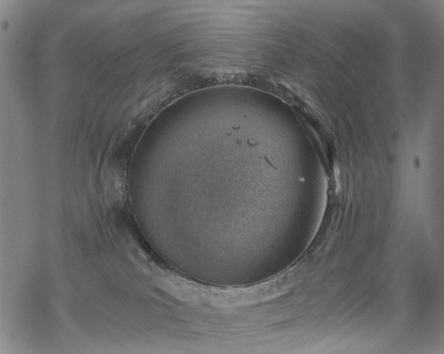 X0000068900039200605122111