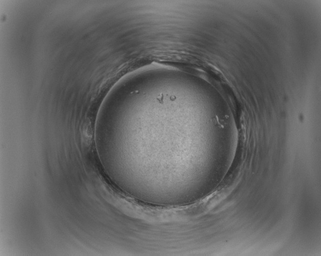 X0000068900040200605122111