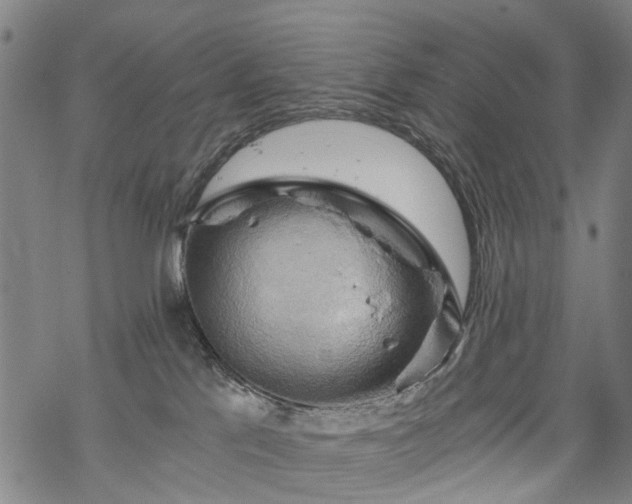 X0000068900041200605122111