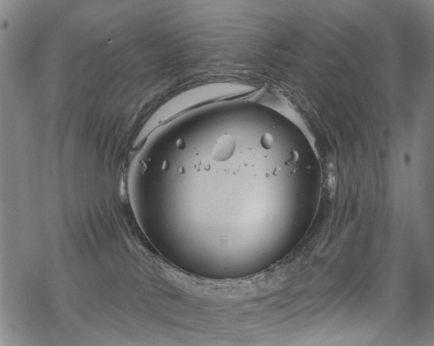 X0000068900042200605122111