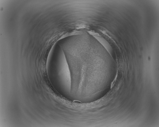 X0000068900043200605122111