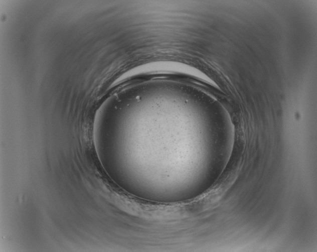 X0000068900044200605122111