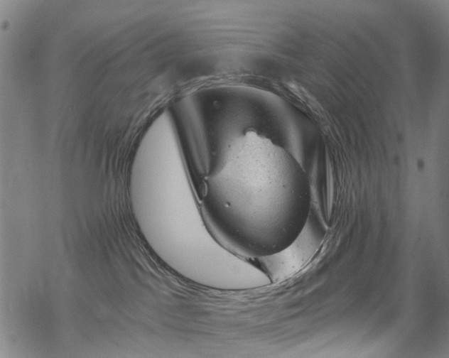 X0000068900045200605122111