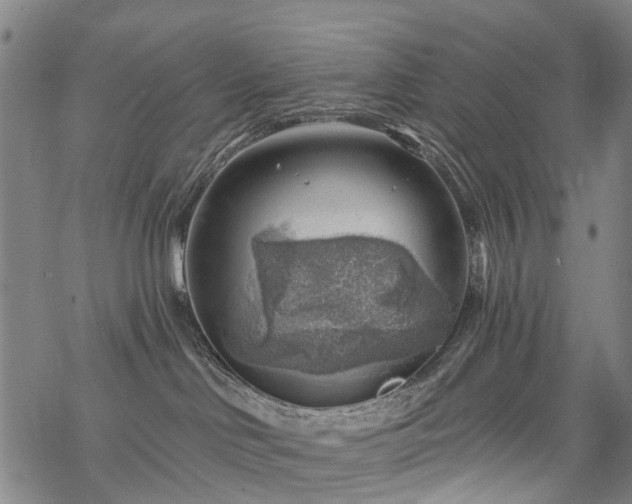 X0000068900046200605122111