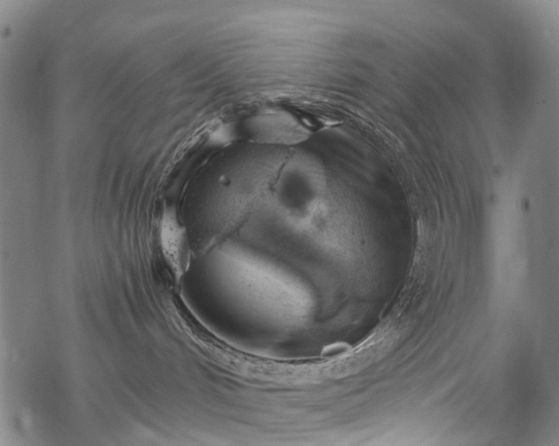 X0000068900048200605122111