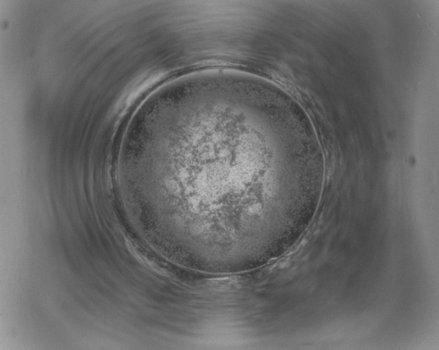 X0000068900050200605122110