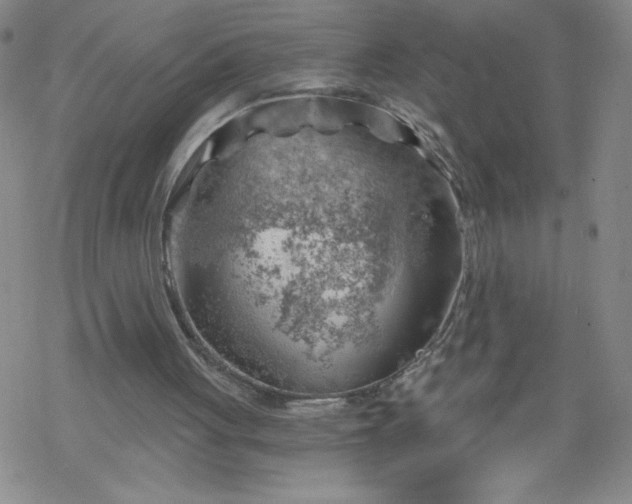 X0000068900051200605122110