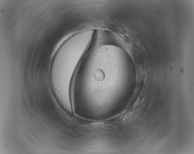 X0000068900052200605122110