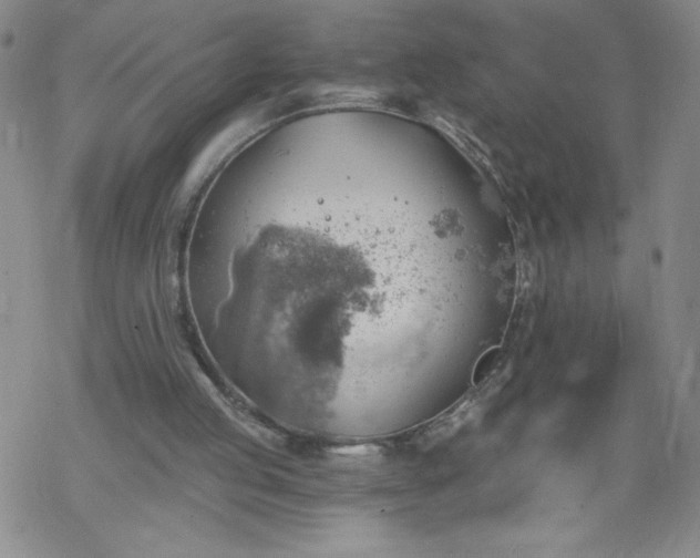 X0000068900053200605122110